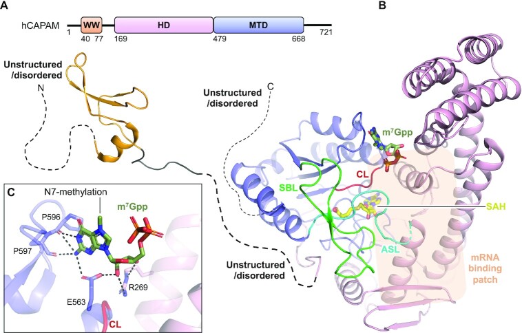 Figure 4.