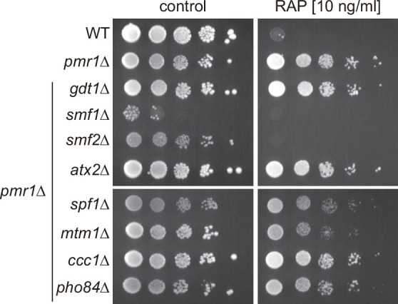 Figure 1—figure supplement 3.