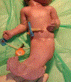 Fig. 86.