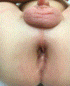 Fig. 49.