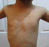 Fig. 27.