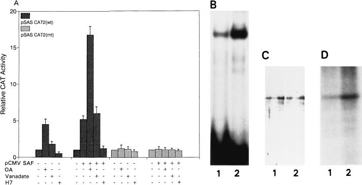FIG. 7