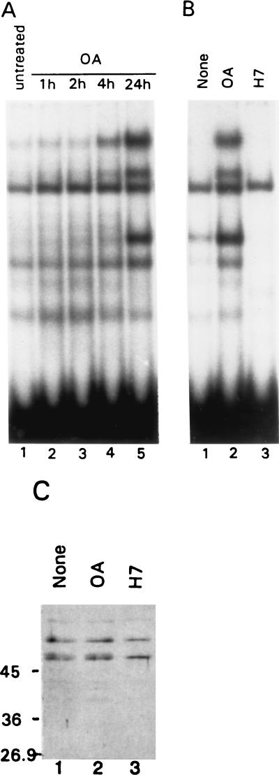FIG. 6