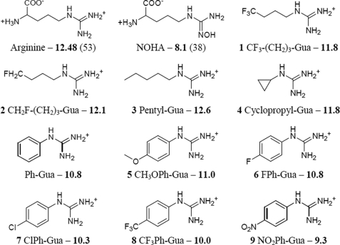 FIGURE 1.