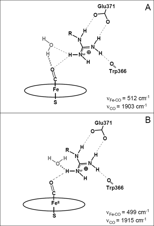 SCHEME 3.