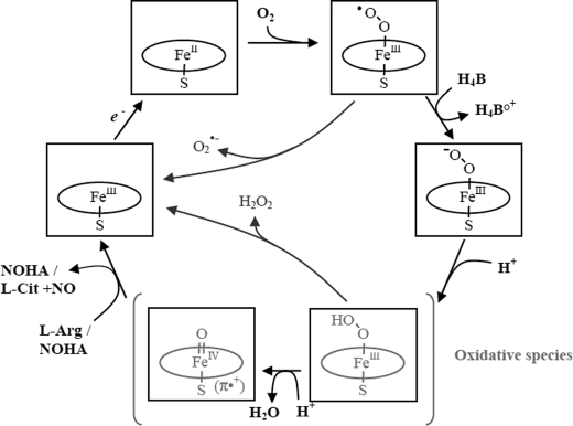 SCHEME 2.