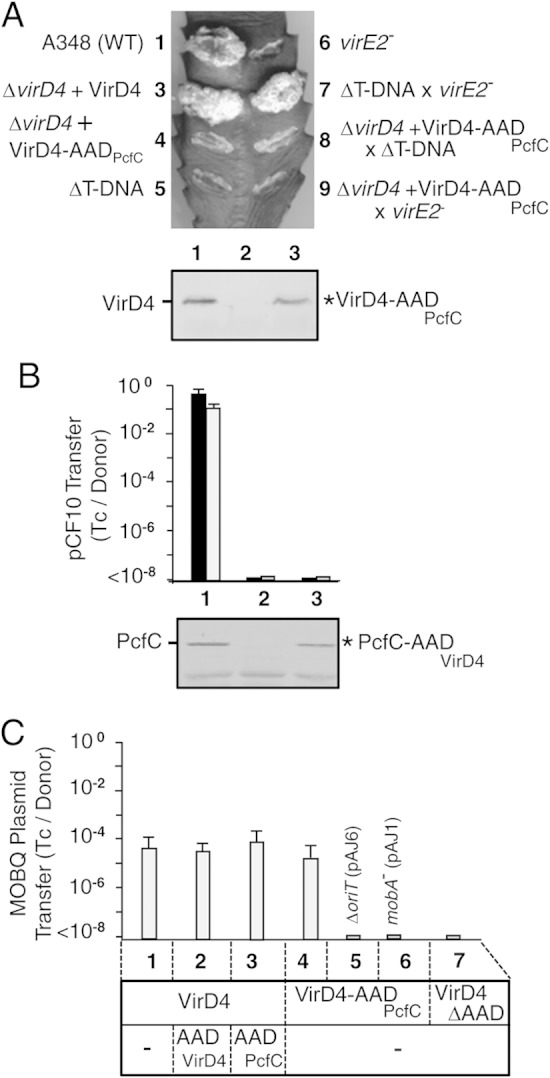 FIG 3