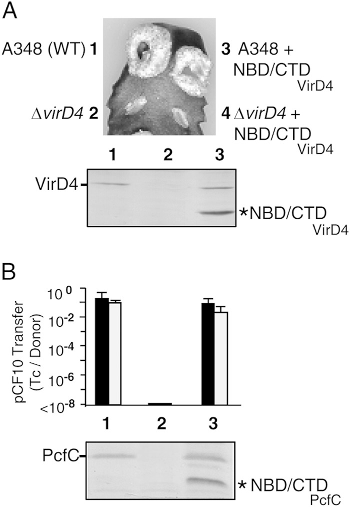 FIG 6