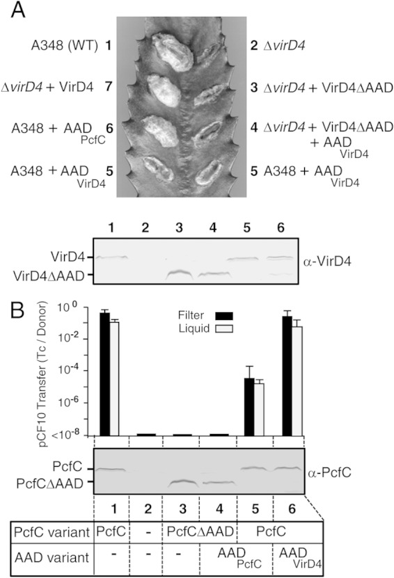 FIG 2