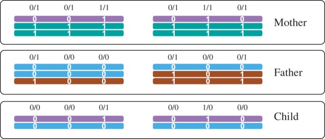 Fig. 4.