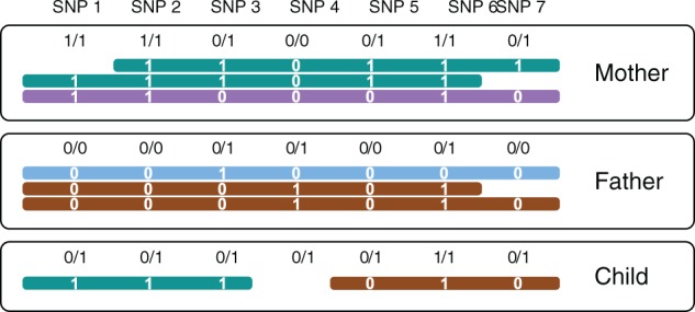 Fig. 1.