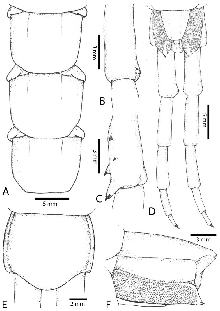 Figure 53.