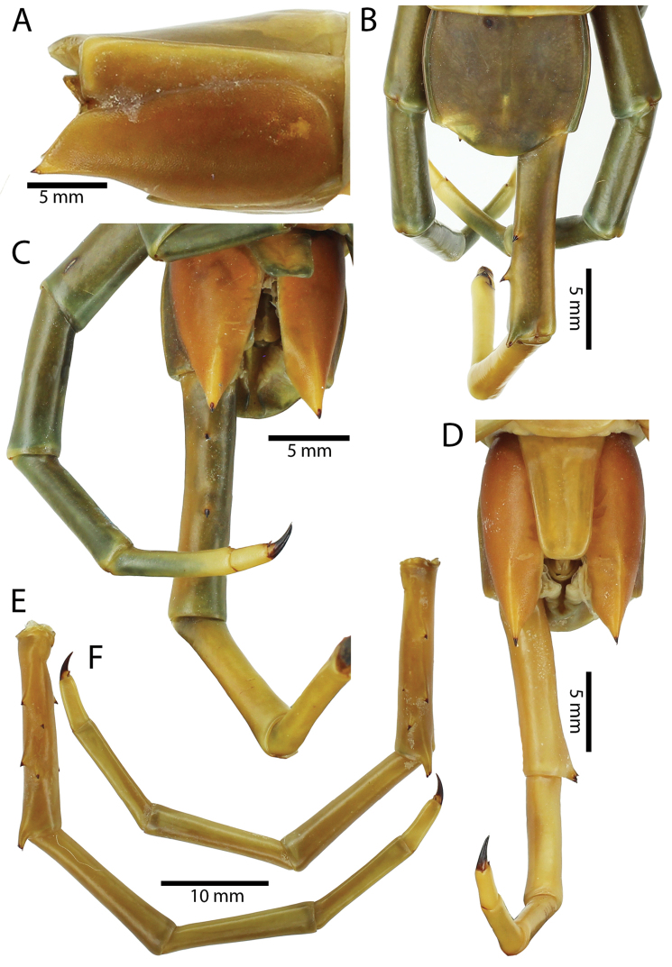 Figure 15.