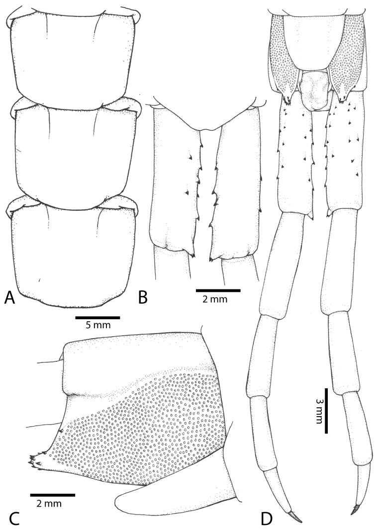 Figure 47.