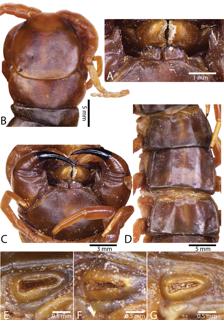 Figure 12.