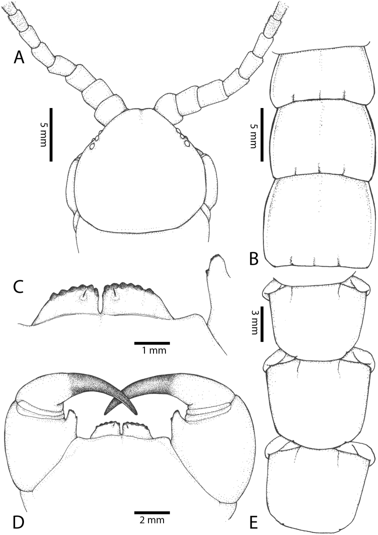 Figure 57.