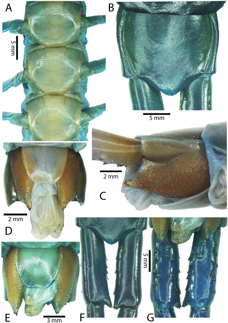 Figure 45.