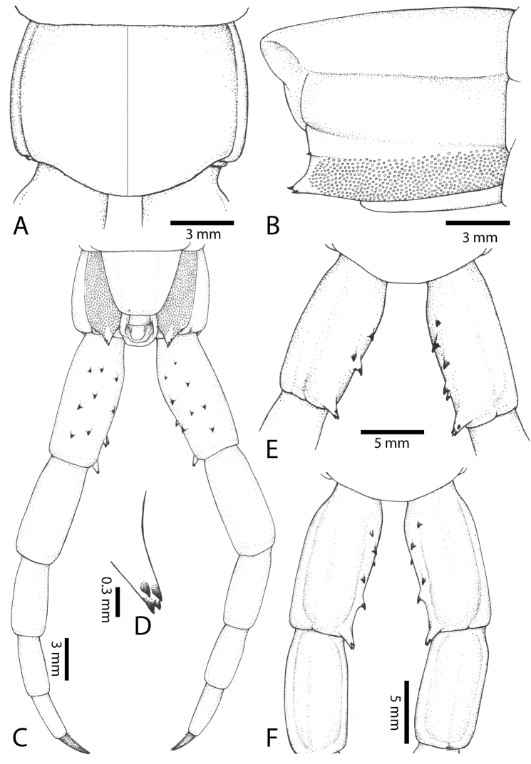 Figure 6.