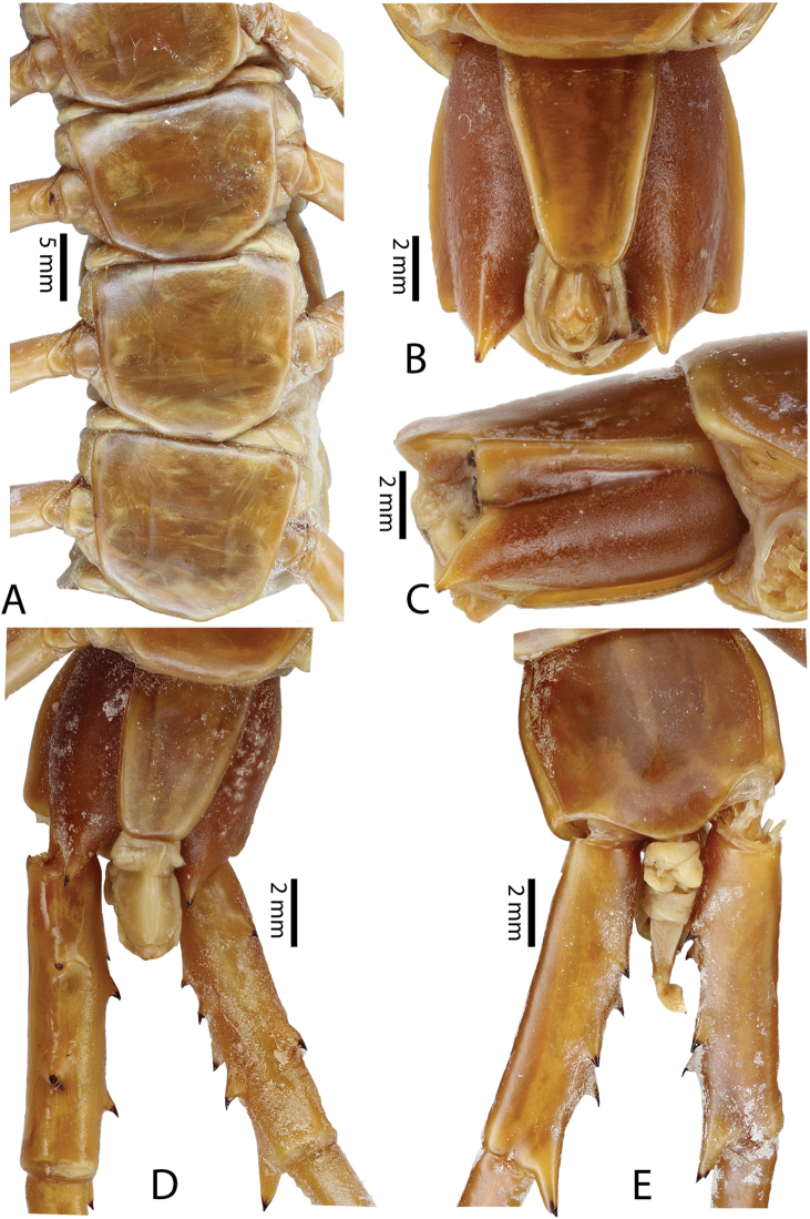 Figure 11.