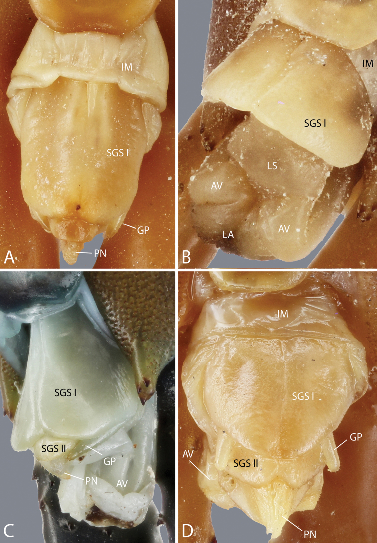 Figure 25.