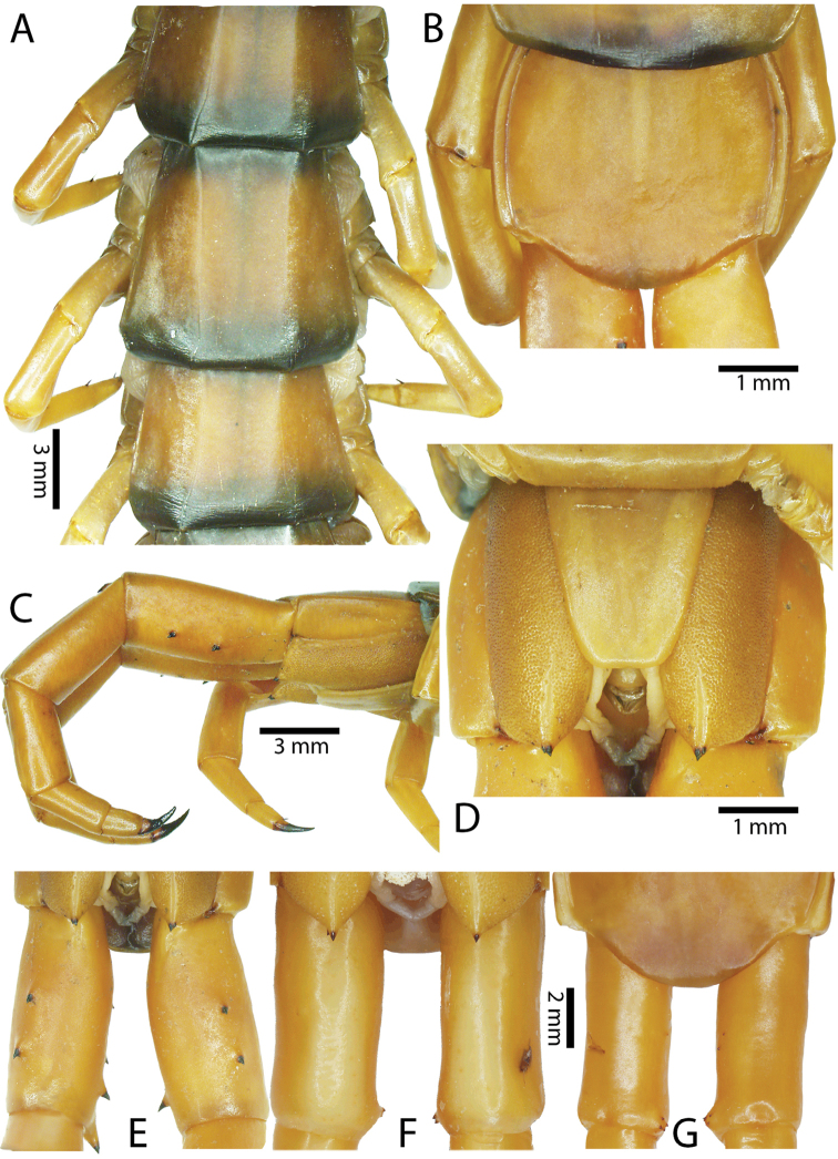 Figure 49.