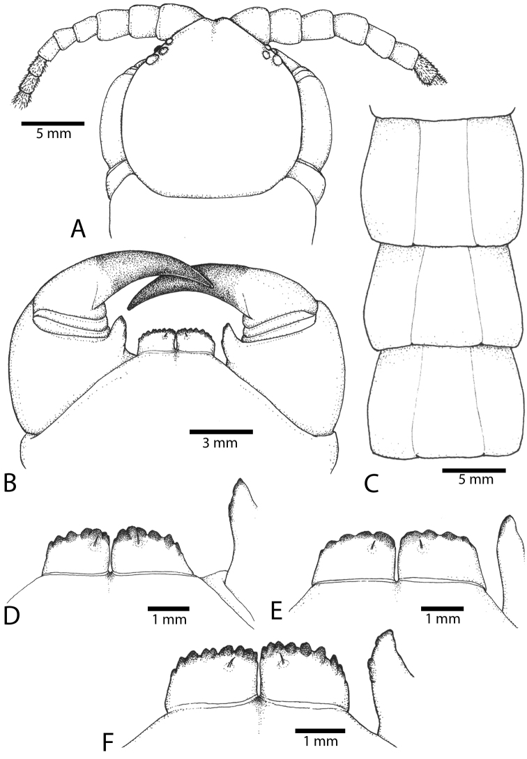 Figure 52.