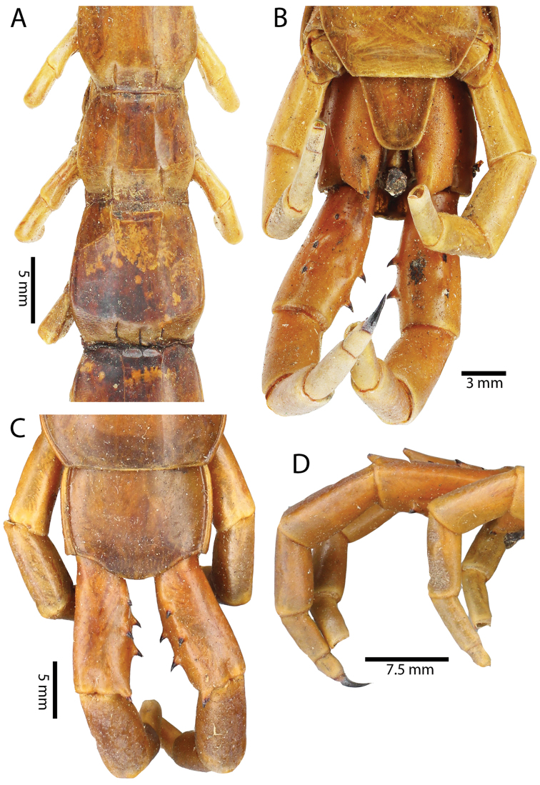 Figure 27.