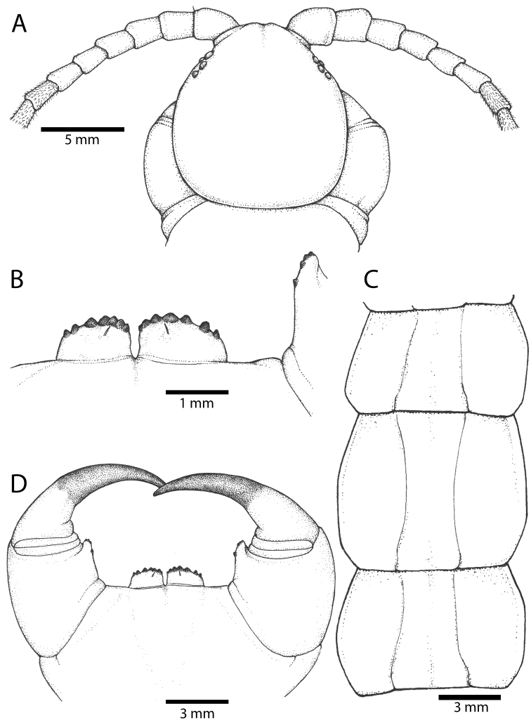 Figure 16.