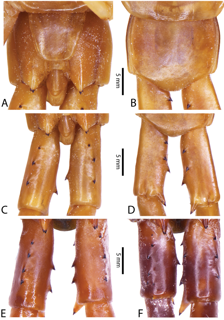 Figure 39.