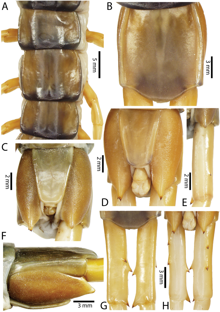 Figure 56.