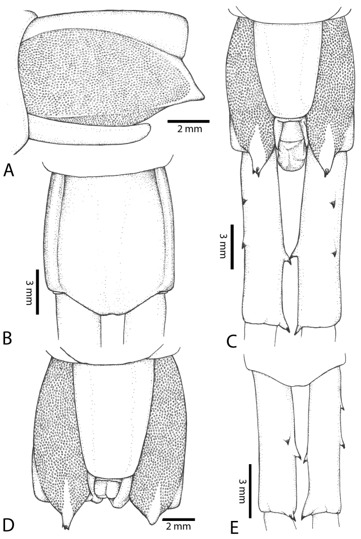 Figure 58.