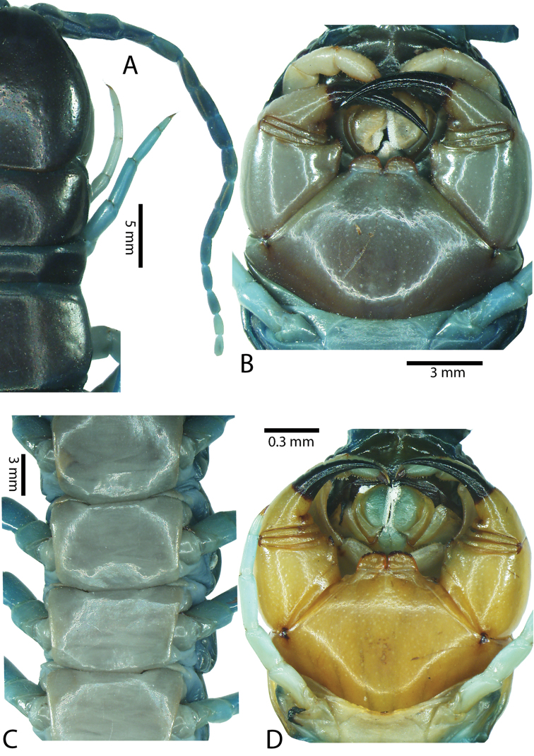 Figure 44.