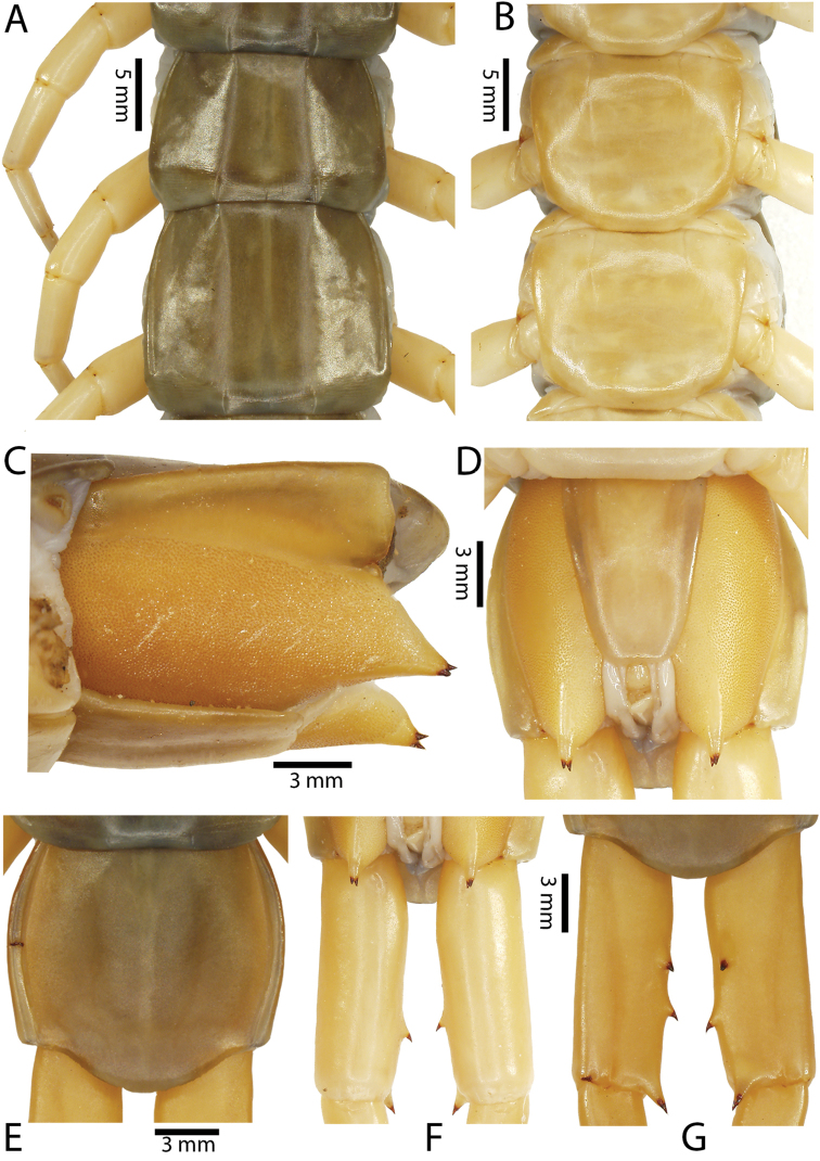 Figure 22.