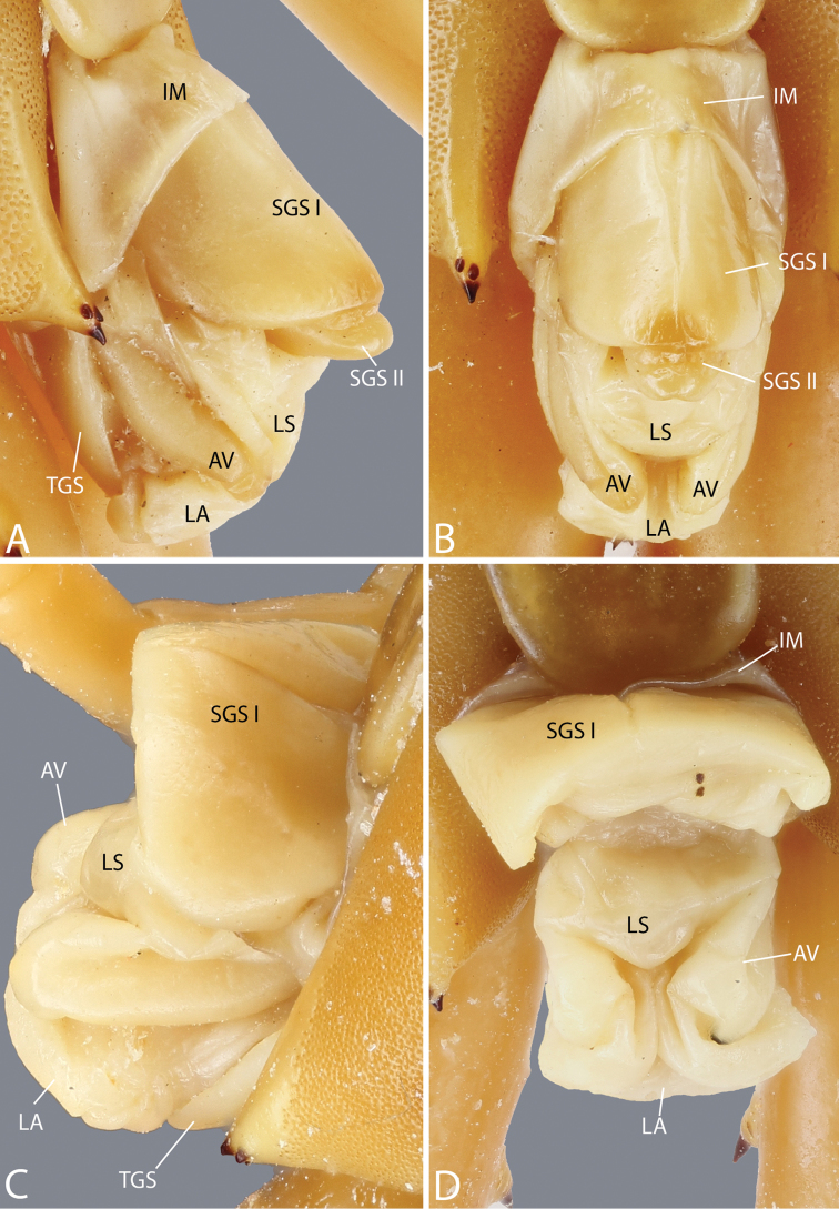 Figure 28.