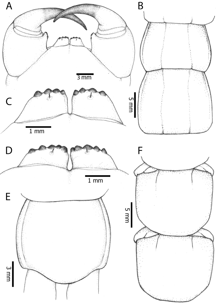 Figure 23.