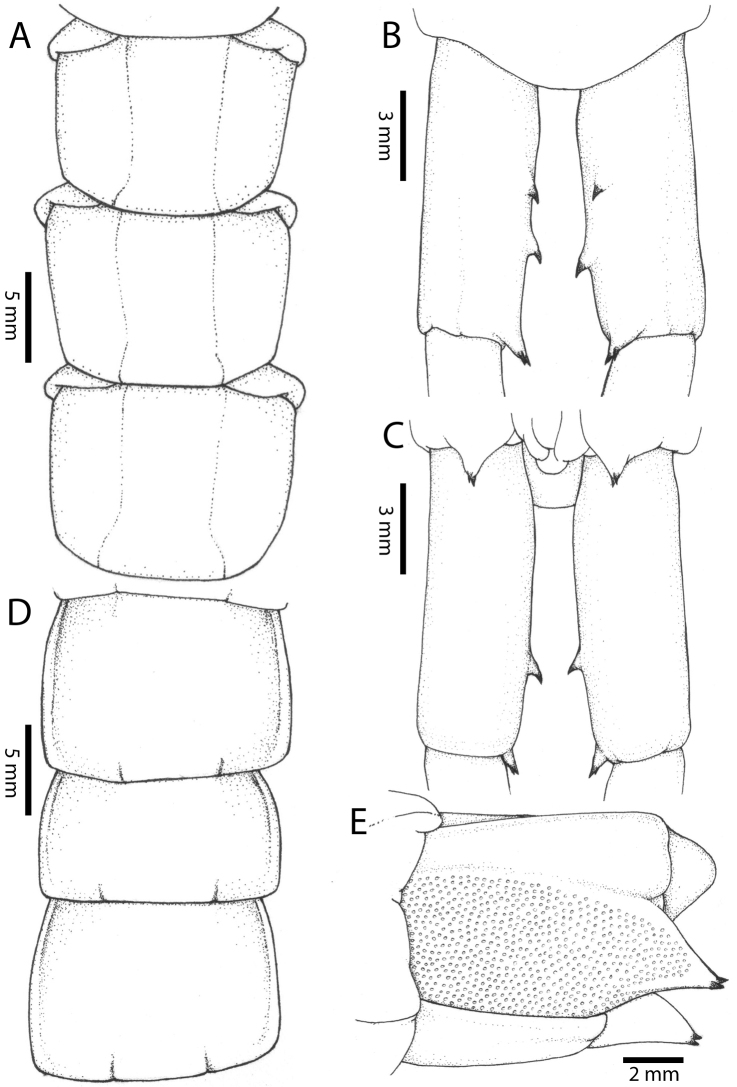 Figure 24.