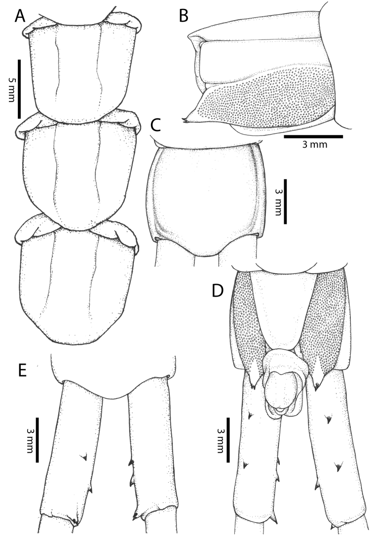 Figure 17.