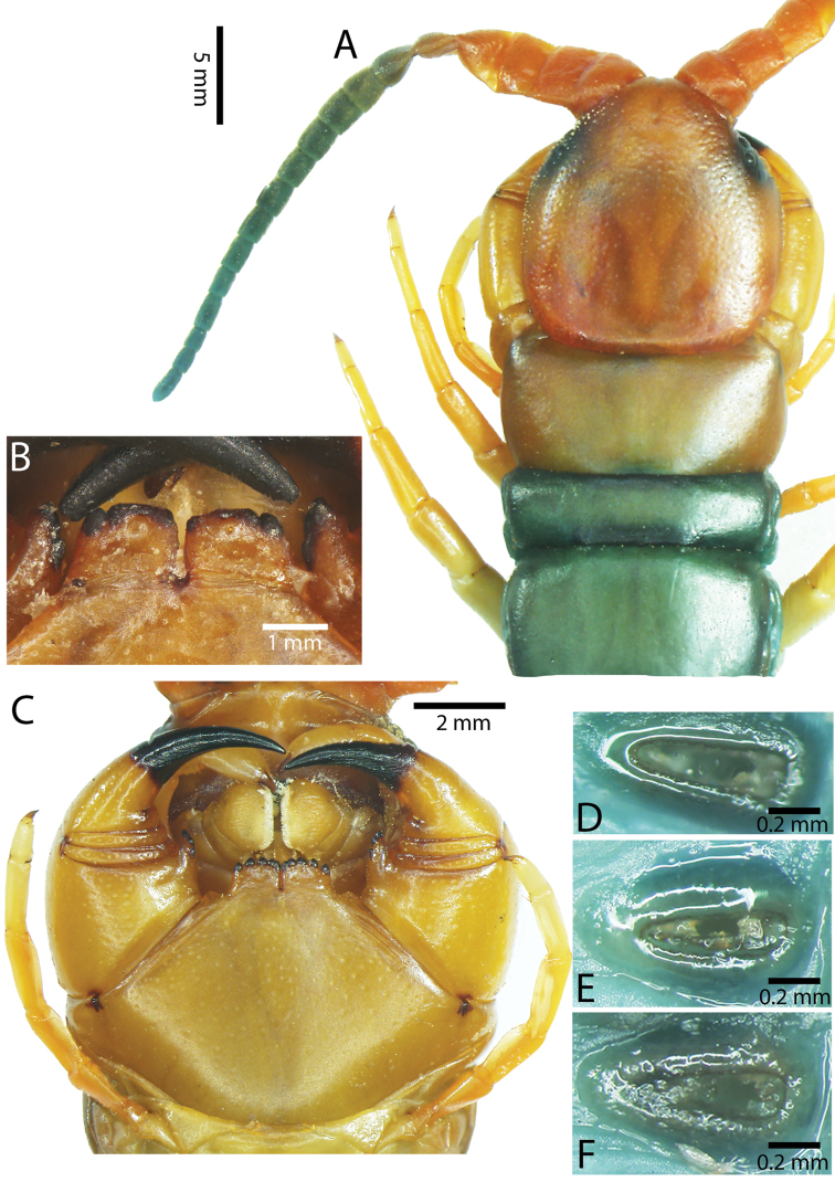 Figure 36.