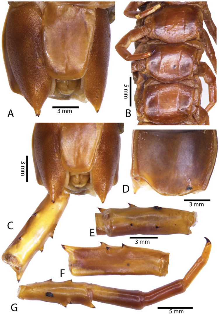 Figure 13.