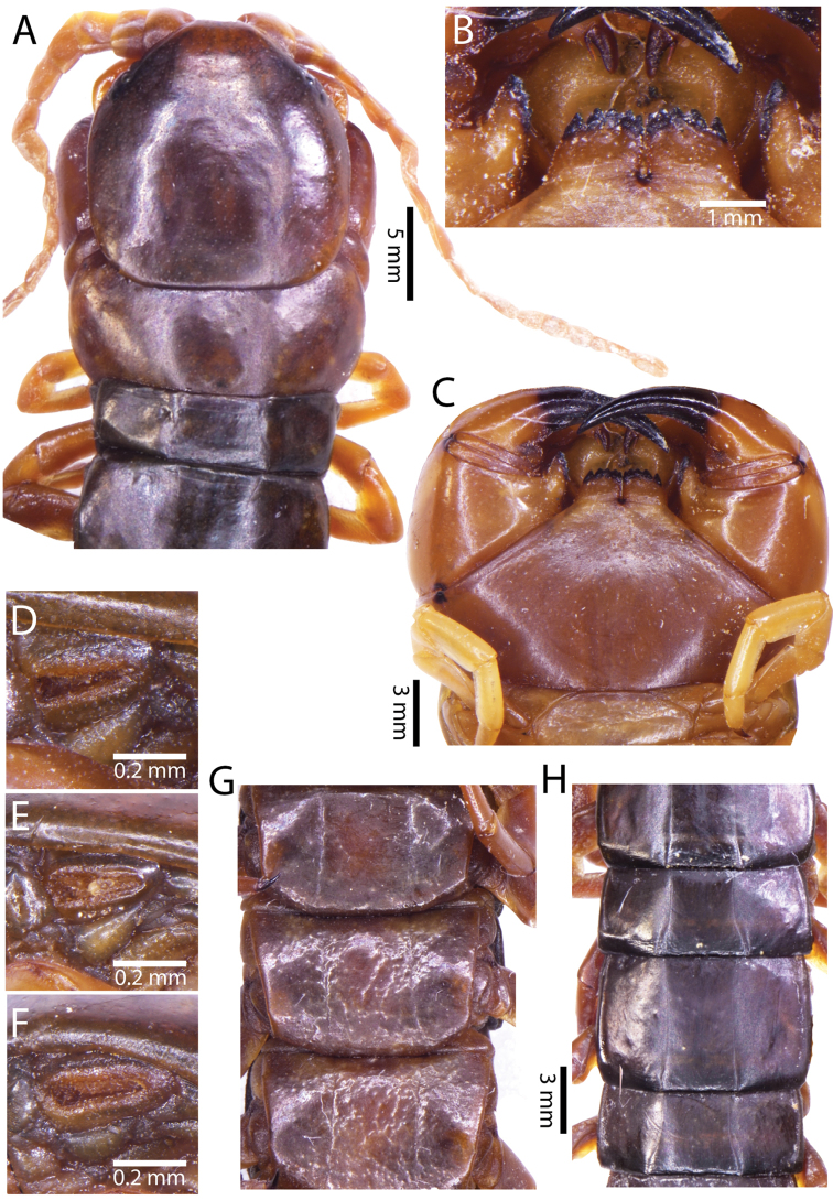 Figure 38.