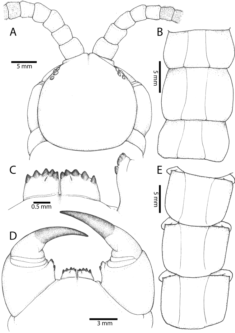 Figure 5.