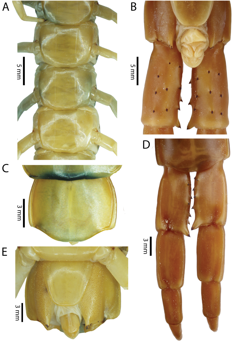 Figure 4.