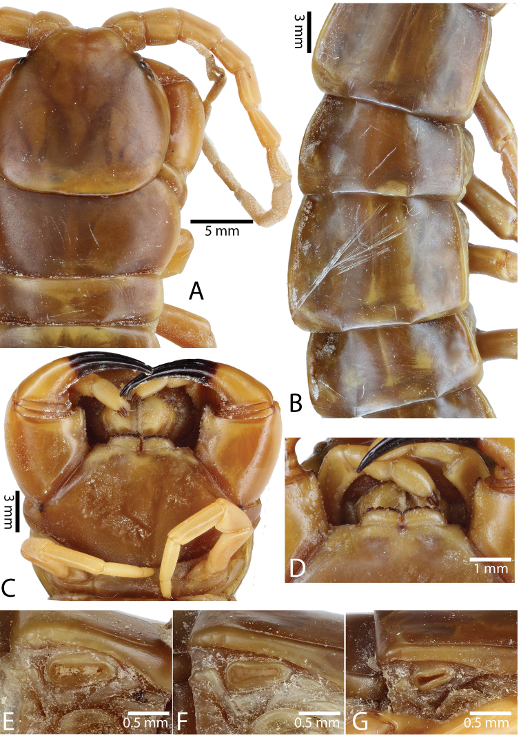 Figure 10.