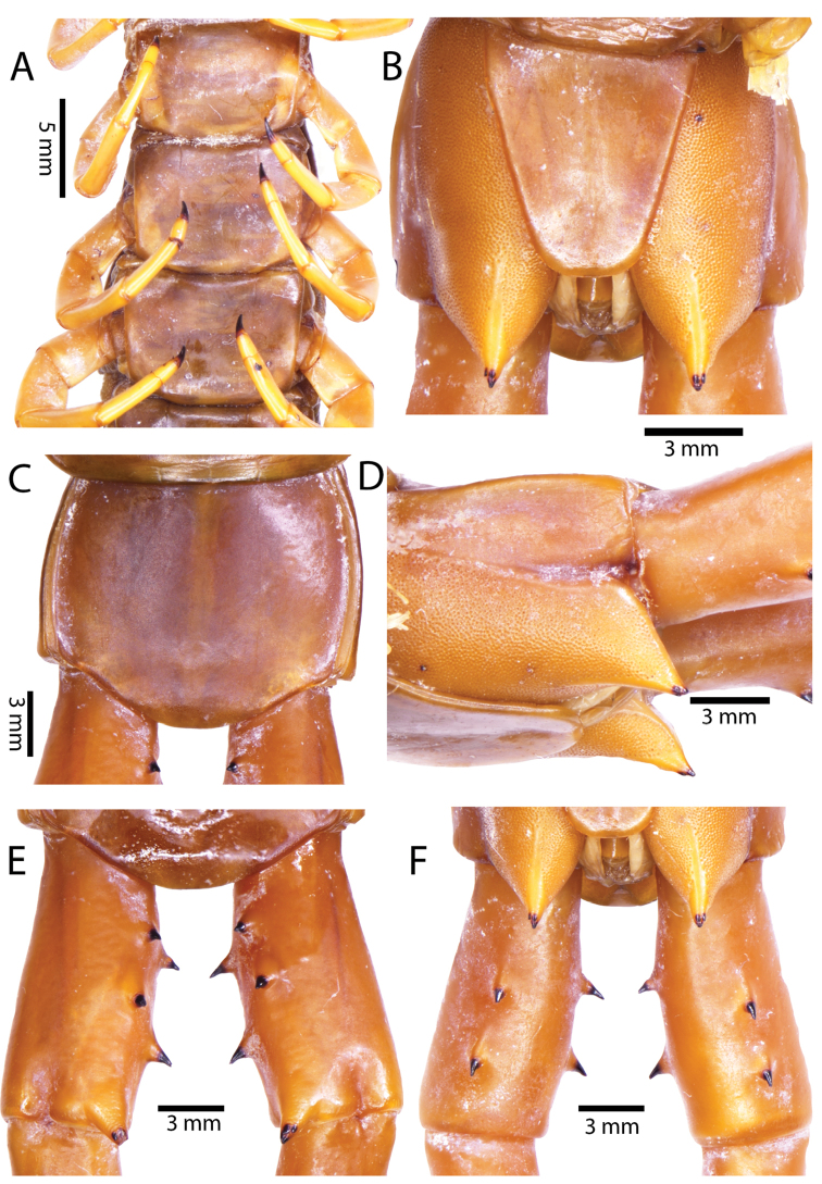 Figure 51.