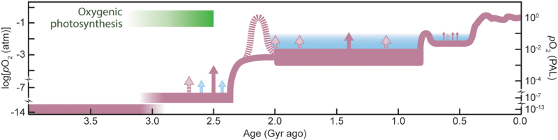 FIG. 3.