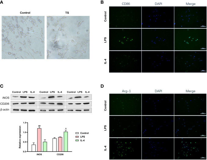 Figure 3