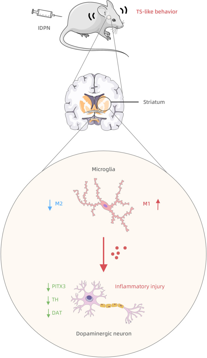 Figure 5