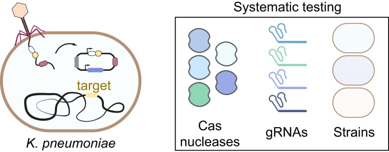 Graphical Abstract