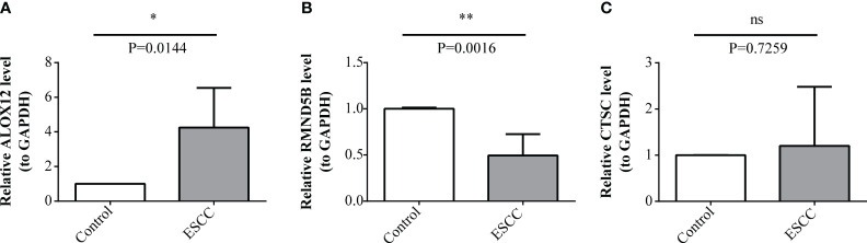 Figure 10