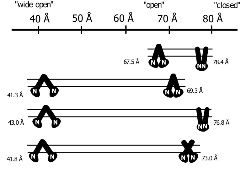 Fig. 8.